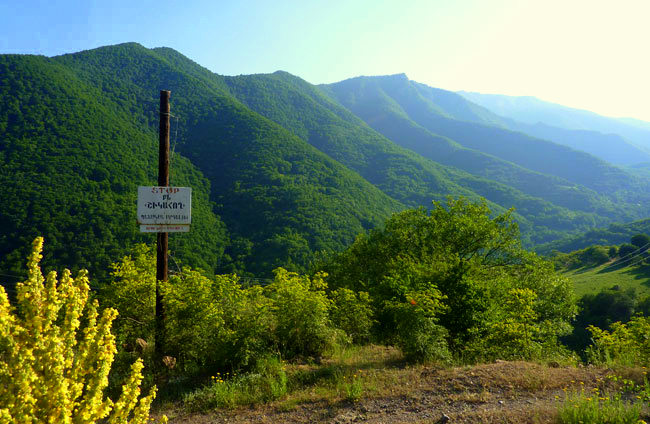 Շիկահող